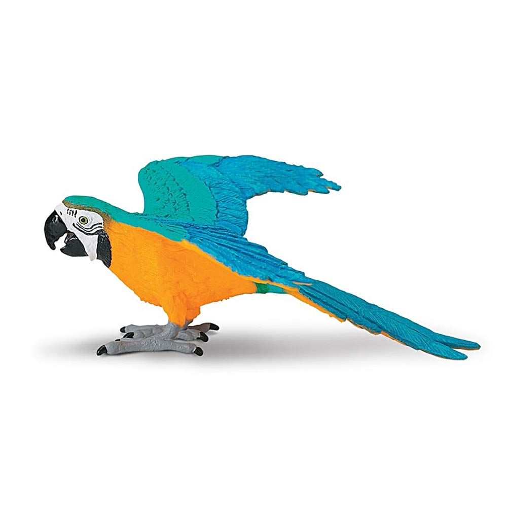 コンゴウインコ、ルリコンゴウインコ　海外土産　絵画2点 Amazon | Safari (サファリ) ルリコンゴウインコ 鳥 フィギュア